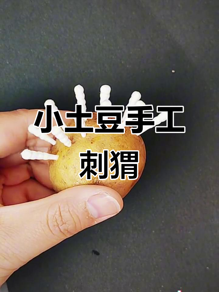 用小土豆做萌萌刺猬,简单又有趣的手工diy