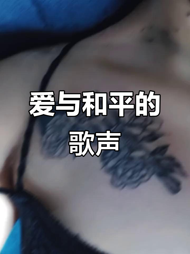 枪与玫瑰:爱与和平的永恒旋律
