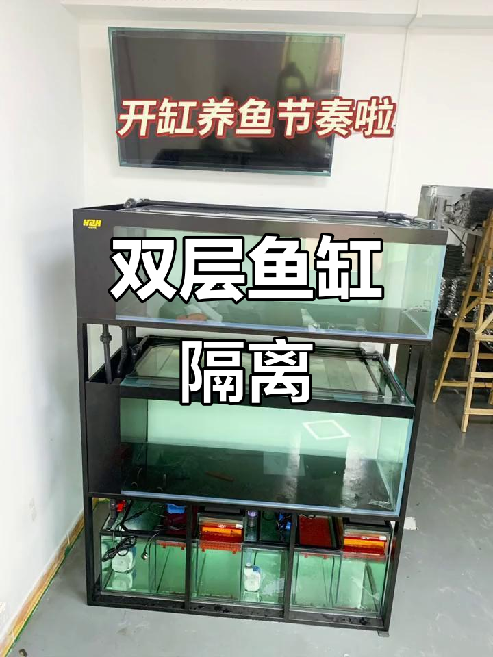 双层鱼缸设计,独立过滤系统,避免交叉感染