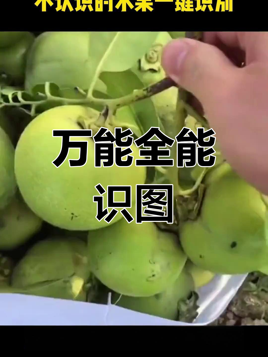 万能识图=万能识图在线使用