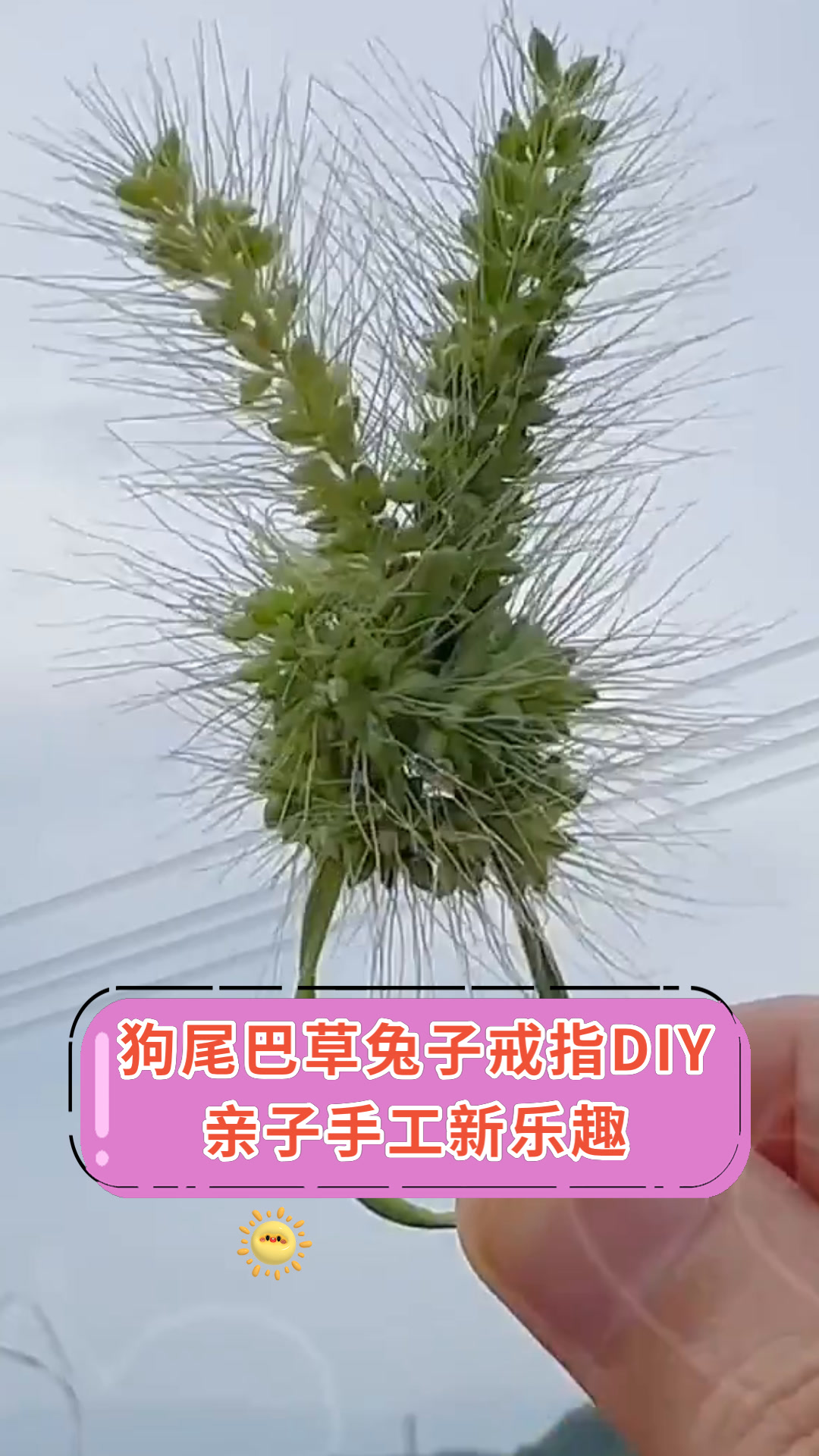 狗尾巴草兔子戒指diy亲子手工新乐趣