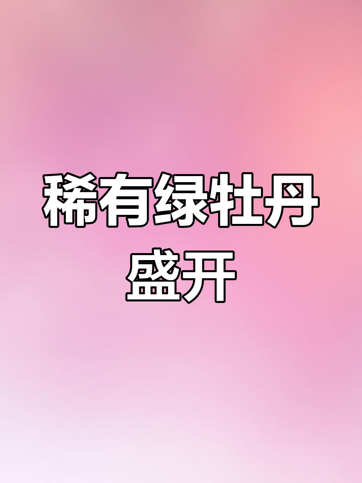 4月18日洛阳绿牡丹:稀有的豆绿色惊艳亮相