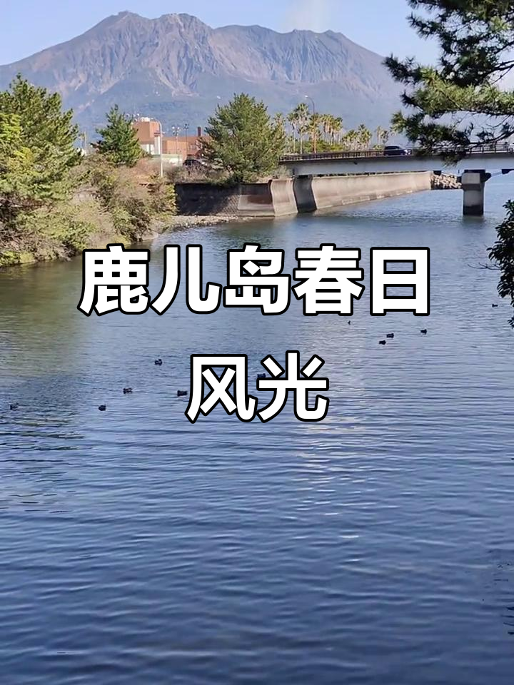 鹿儿岛留学