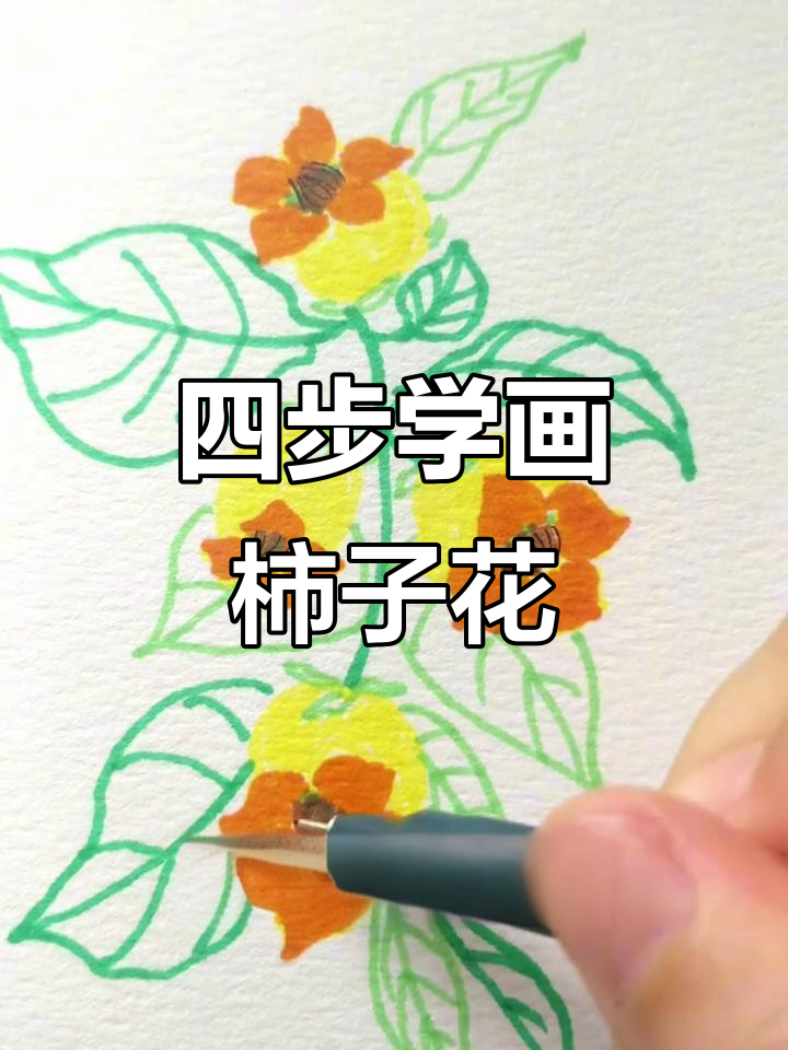 柿子花四步画法,挑战100种花卉不重样