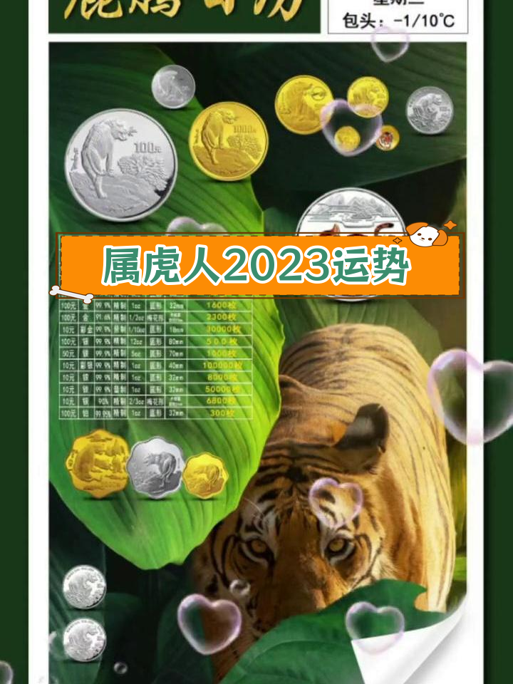 解析生肖虎人财富运势(解析生肖虎人财富运势视频)