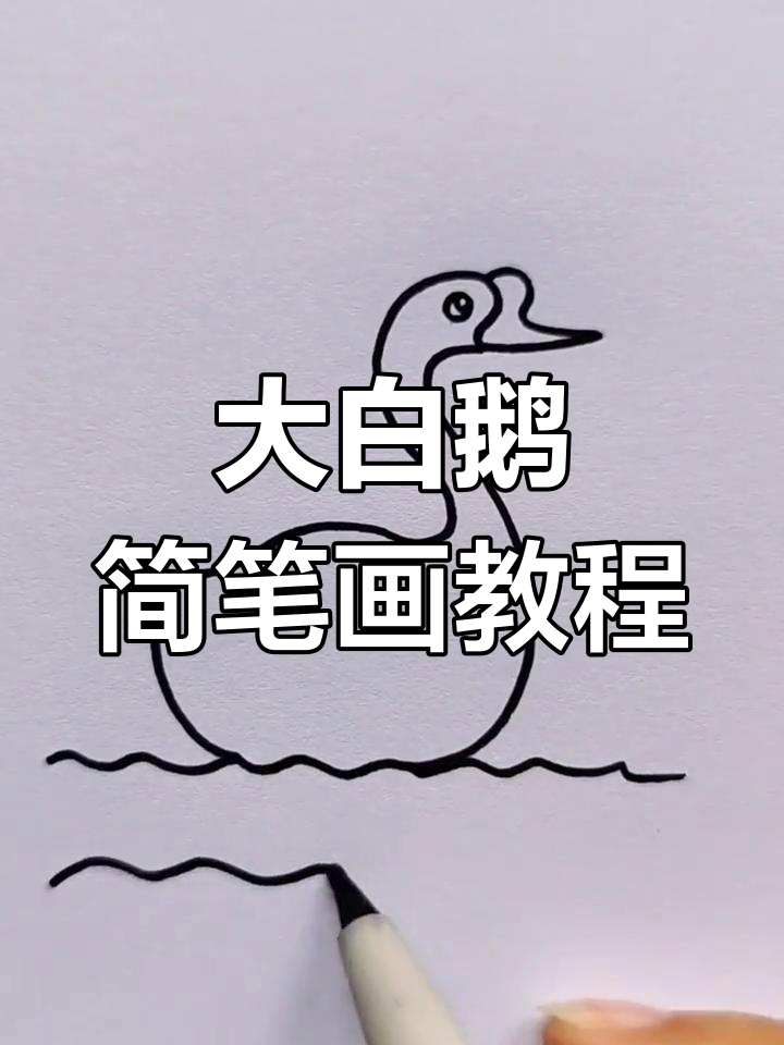 大鹅简笔画简单图片