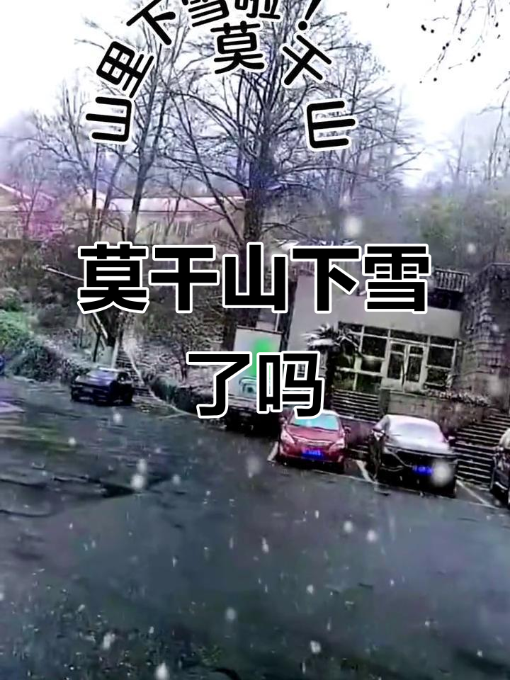 莫干山2022年下雪了吗?最新天气预报揭秘