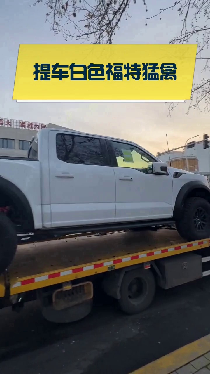提车白色福特猛禽