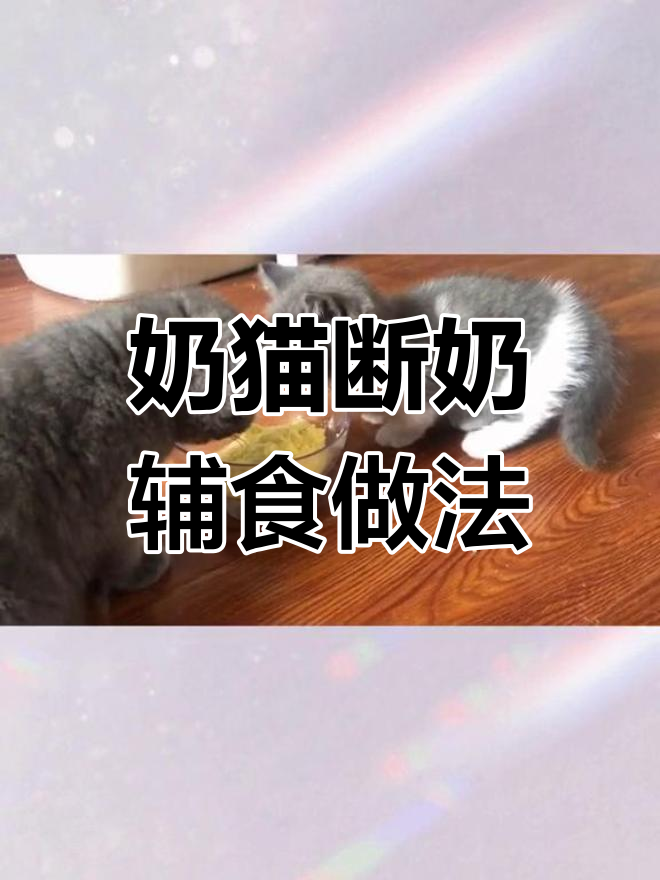 小猫做法图片