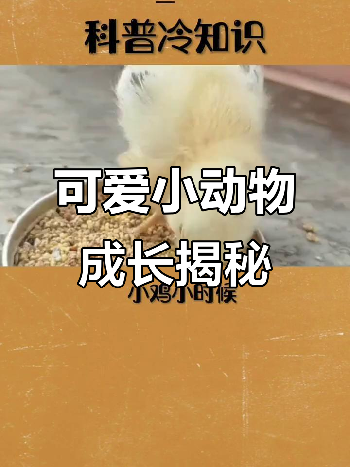 小动物长大后竟然变样,原来它们是这样成长的!