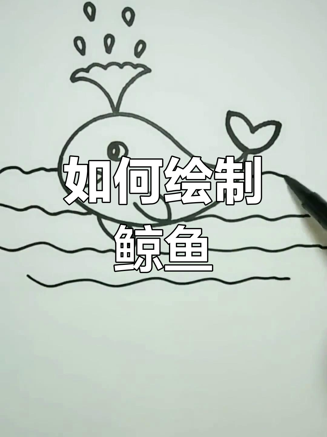 玻璃碎片鲸鱼画法图片