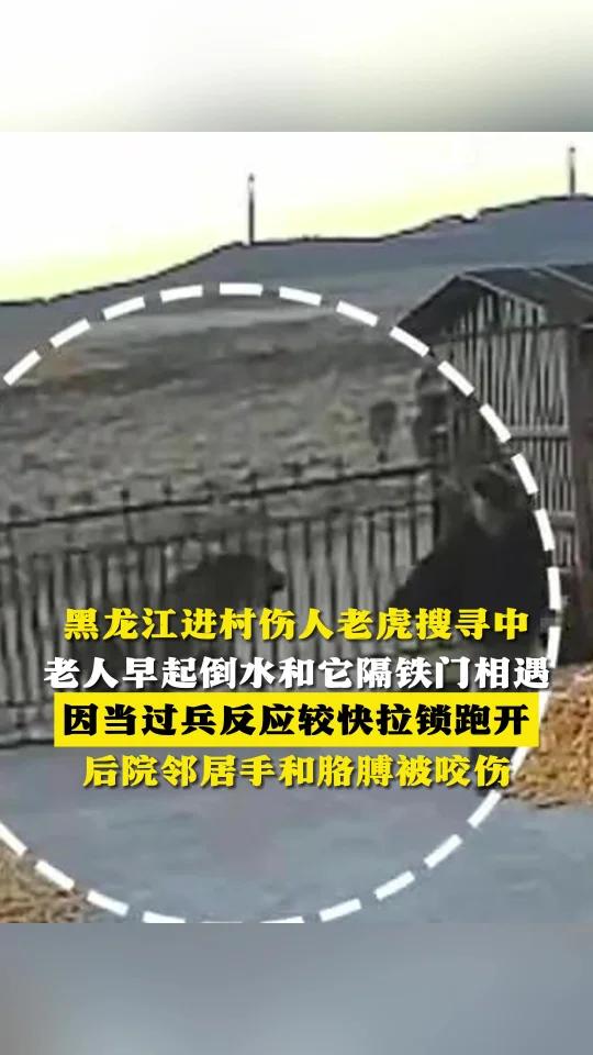 老虎伤人新闻(老虎伤人的事件当事人是谁)