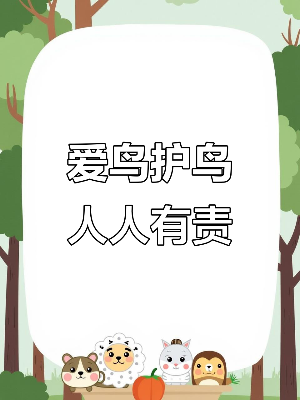 保护鸟类,从我做起