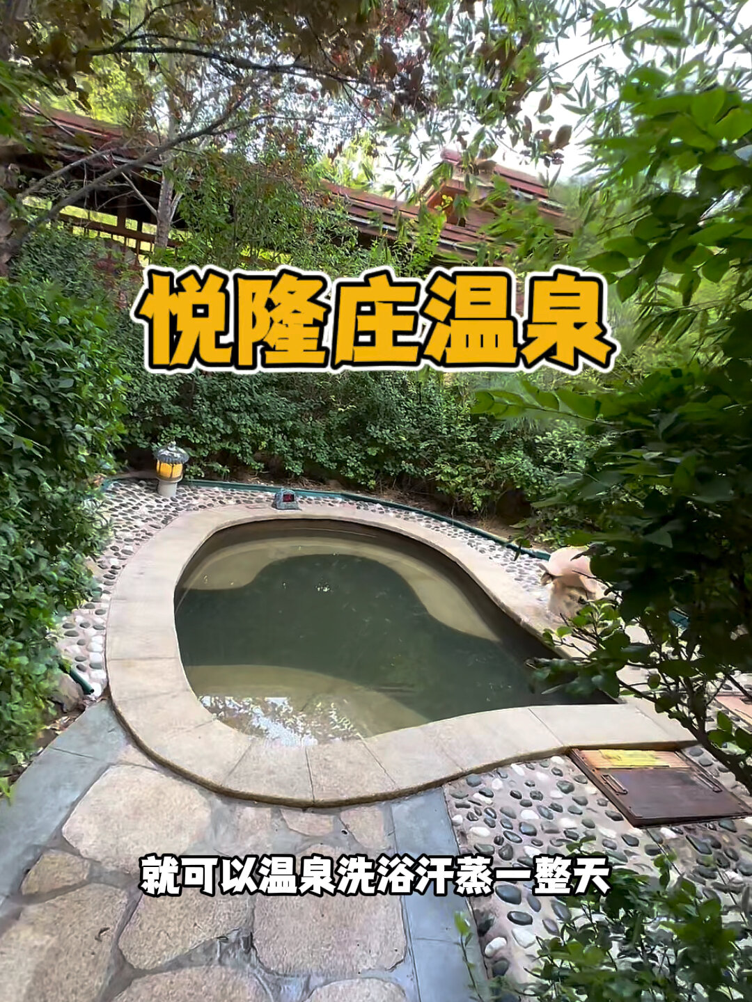 榆次悦隆庄温泉住宿图片