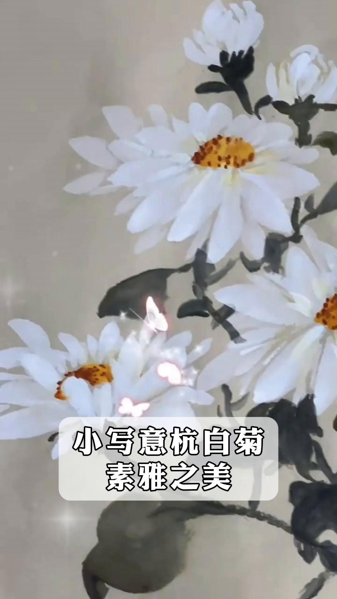 小写意杭白菊,素雅之美