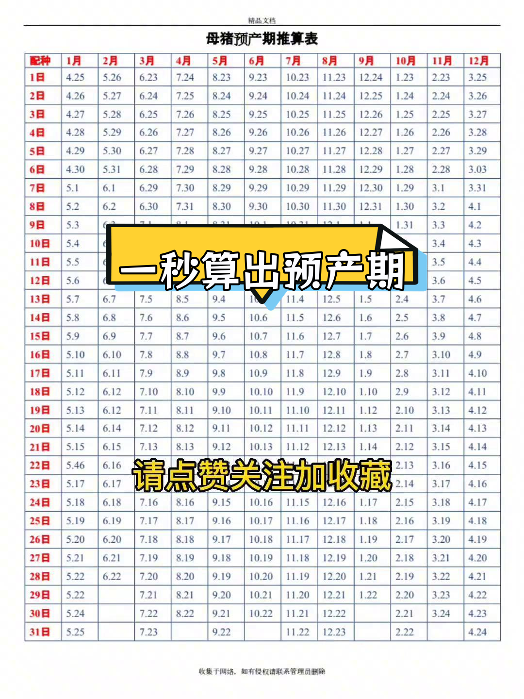 母猪预产期计算技巧,轻松掌握