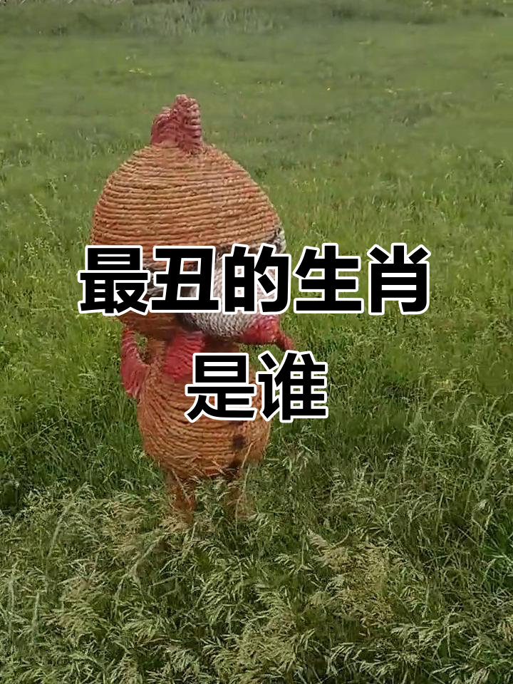 丑字代表生肖