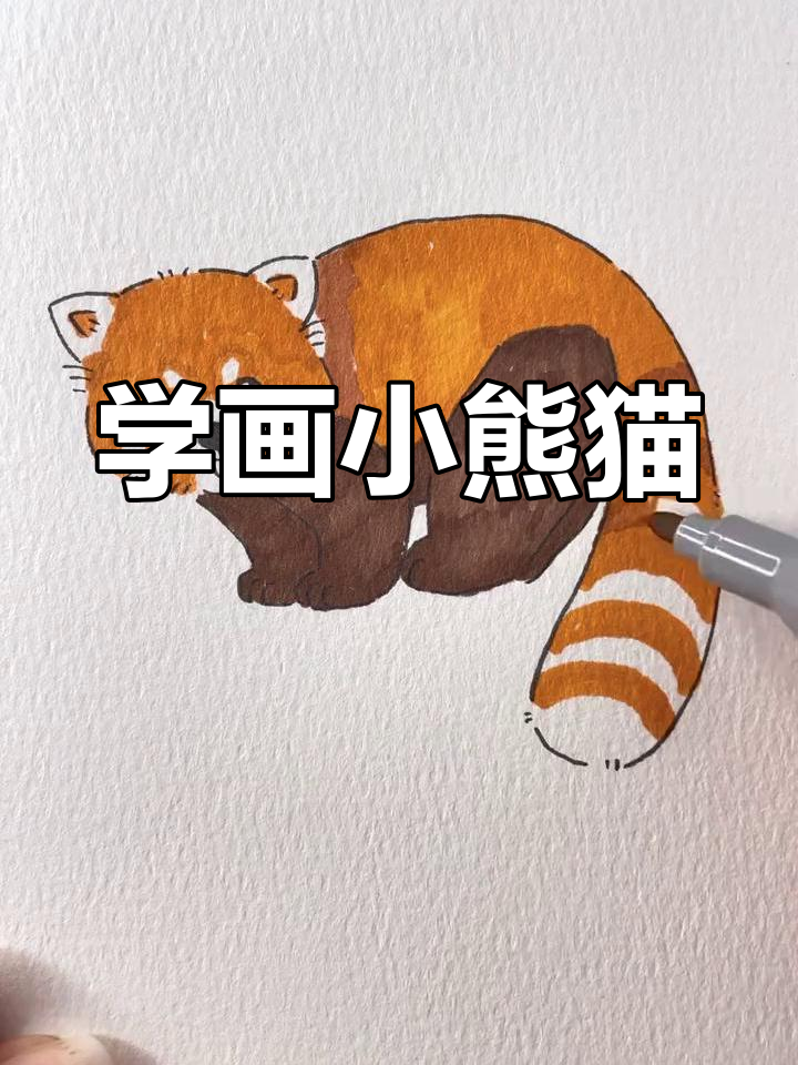 画小熊猫,轻松学简笔画
