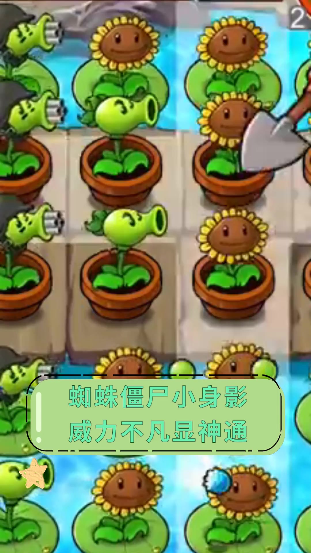 蜘蛛僵尸小身影,威力不凡显神通