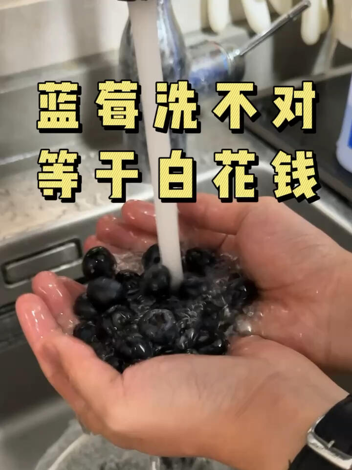 第一次知道吃蓝莓要这样洗