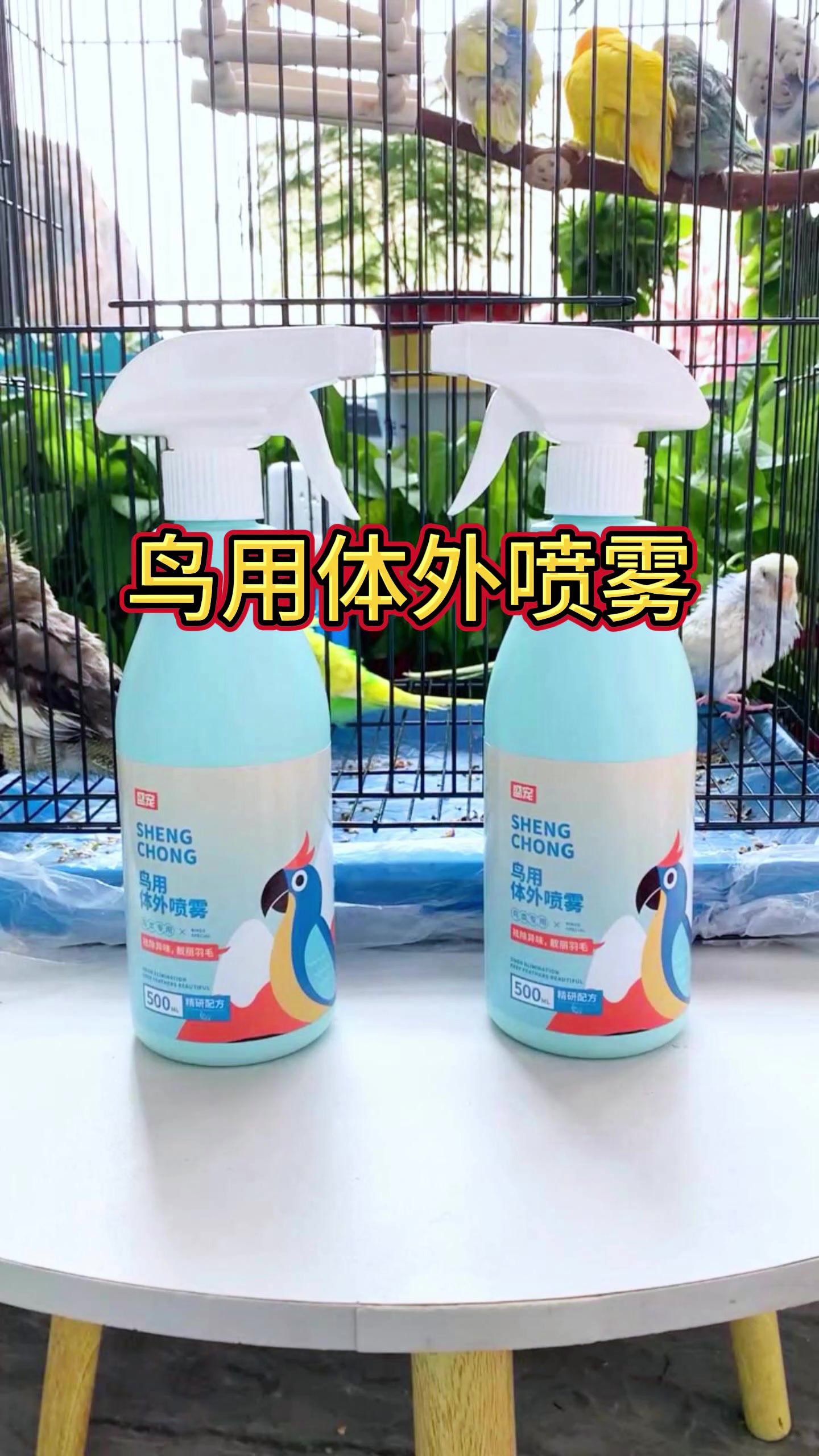 鸟宝全身痒啄羽炸毛的原因找到了用它再也不生病