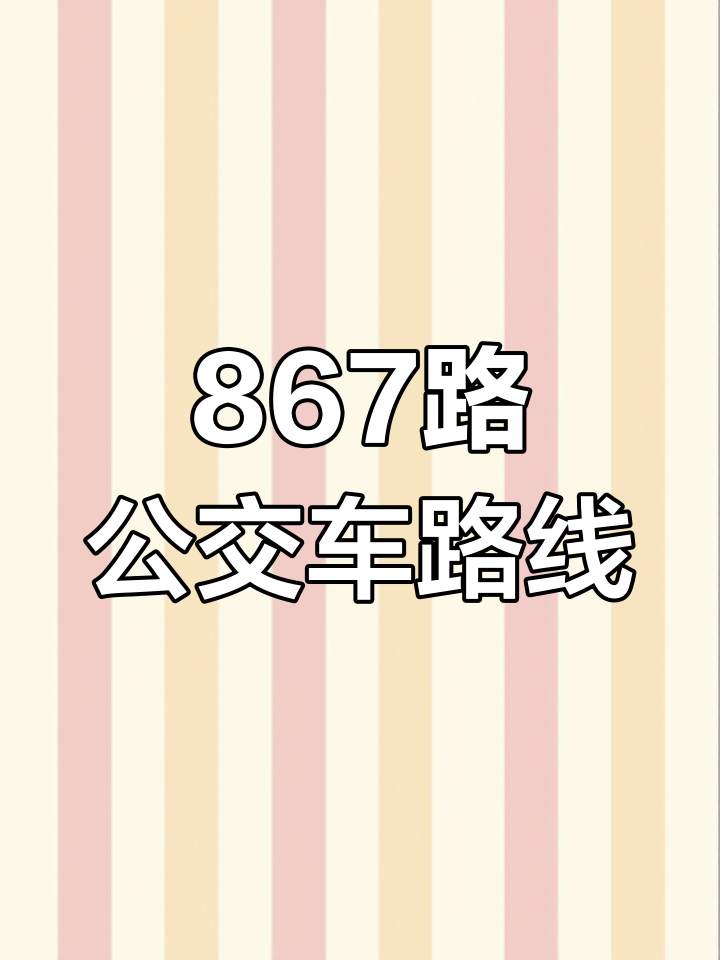 上海南站南广场至航华新村867路公交全程
