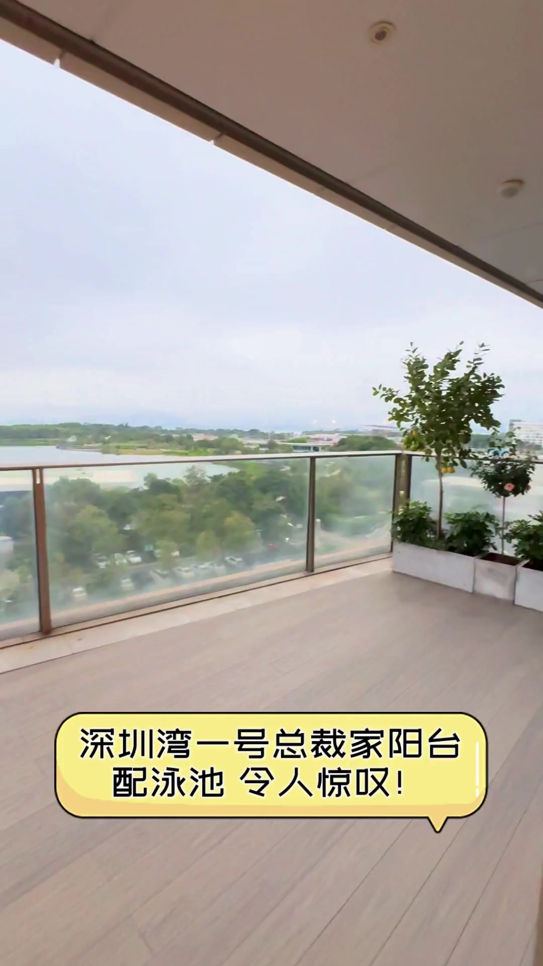 深圳湾一号总裁家阳台配泳池,令人惊叹!