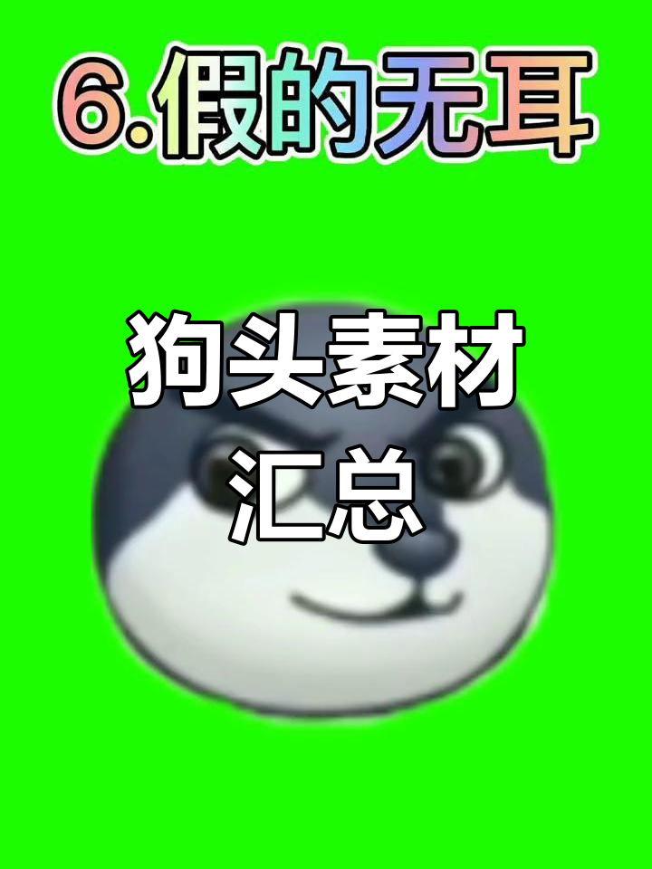 各种狗头素材大集合
