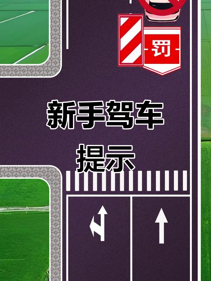 新手开车必看:线性诱导标志解析与注意事项