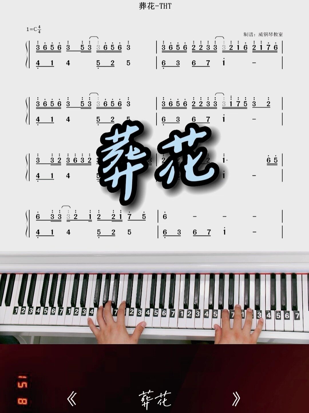 纯音乐tht《葬花》钢琴简谱教学改编