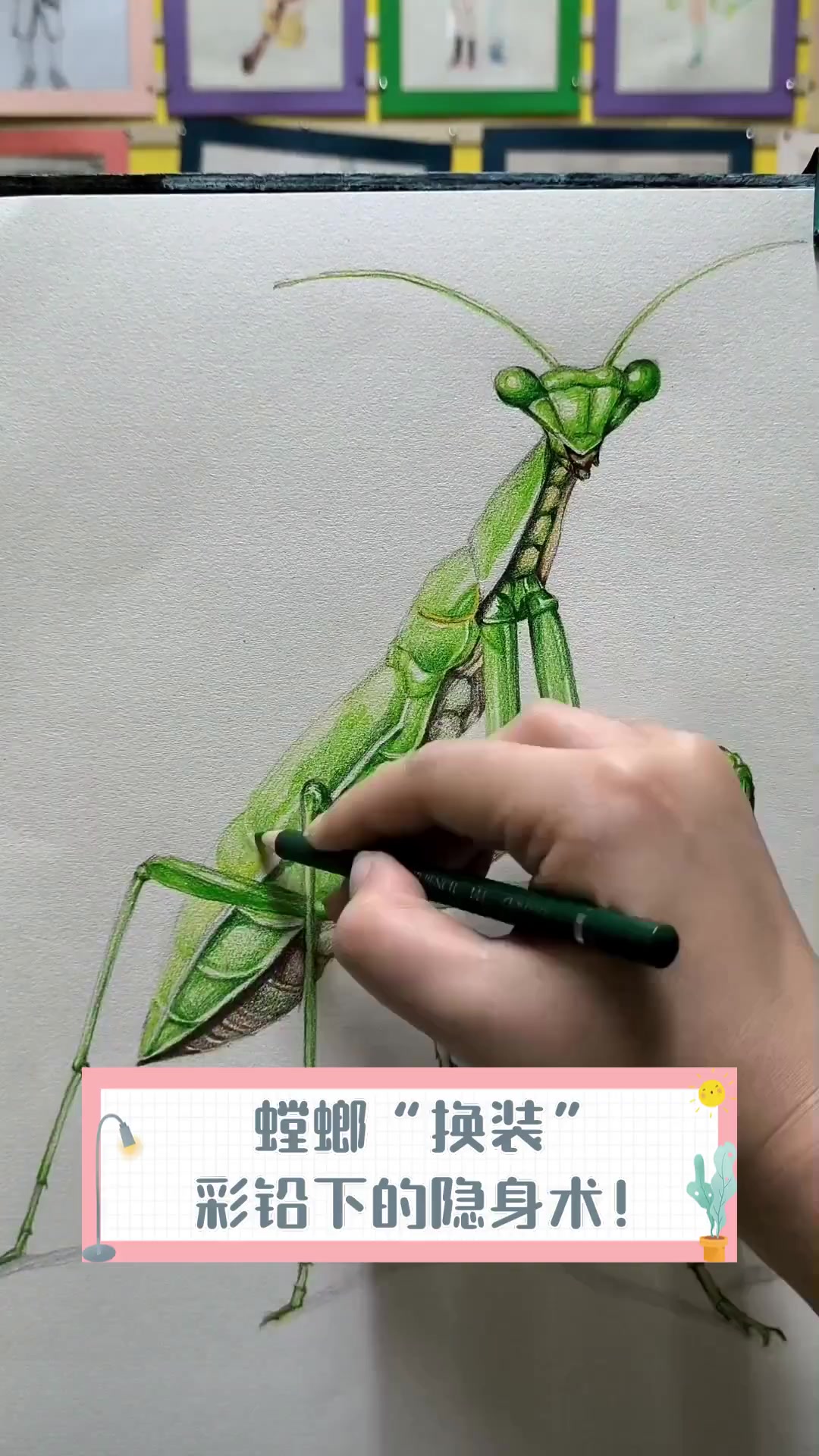 螳螂"换装",彩铅下的隐身术!