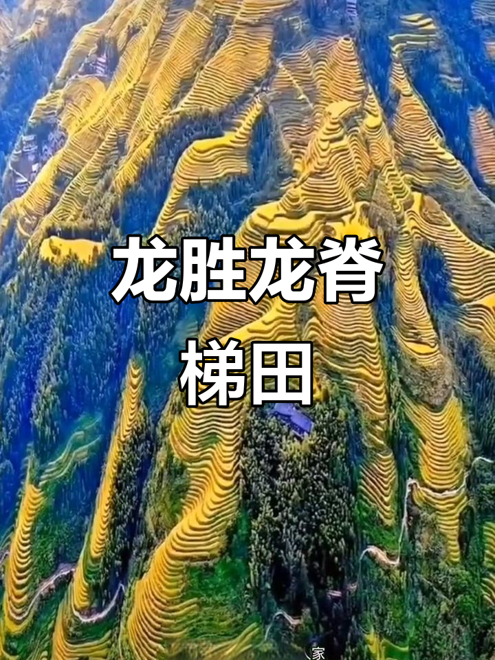 广西龙脊梯田:陡峭山坡上的奇迹,人工稻的发源地