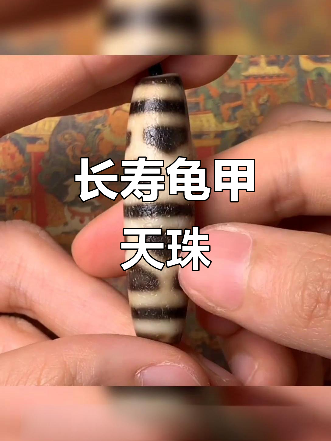 龟甲天珠:长寿与冷静的完美结合