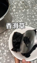 草粿用草本熬制，口感Q弹，香气扑鼻，回味无穷