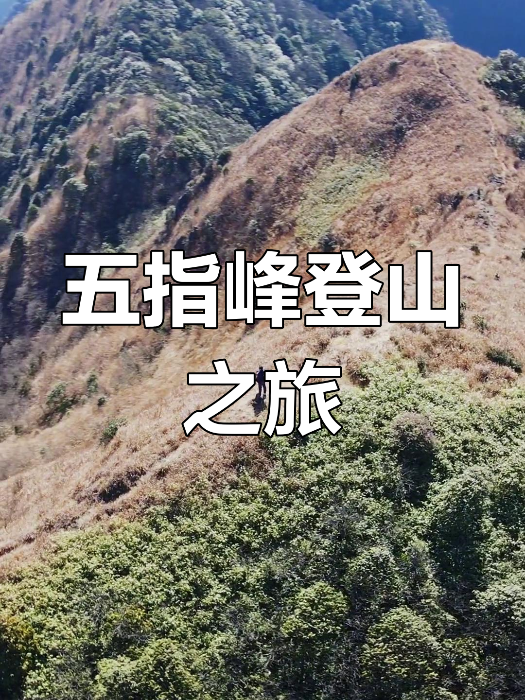 汝城五指峰图片