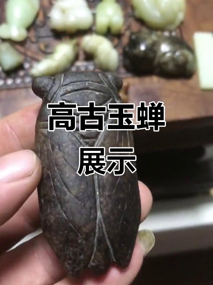 稀有高古玉蝉,难得一见的美妙收藏品