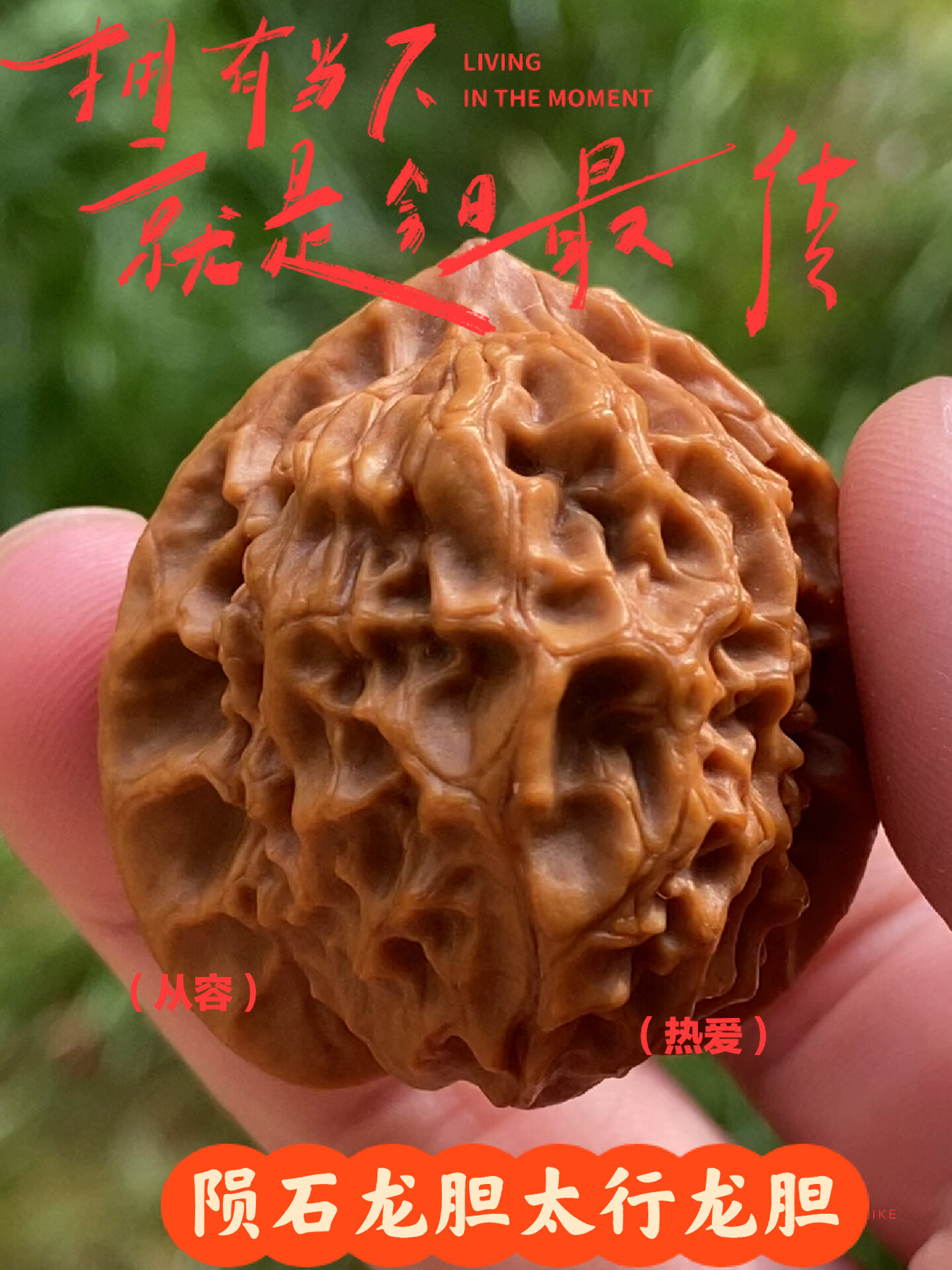 文玩核桃太行龙胆陨石龙胆