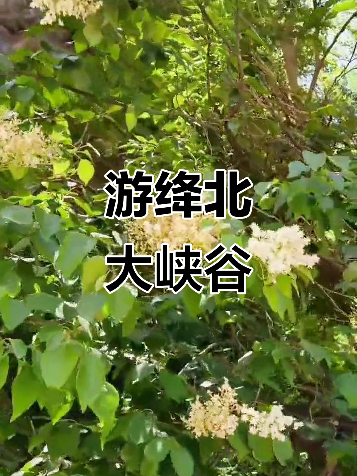 山西绛北大峡谷,美景尽收眼底