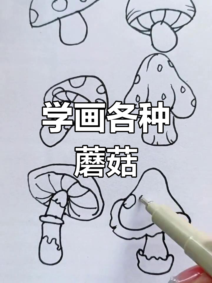 蘑菇长在哪里简笔画图片