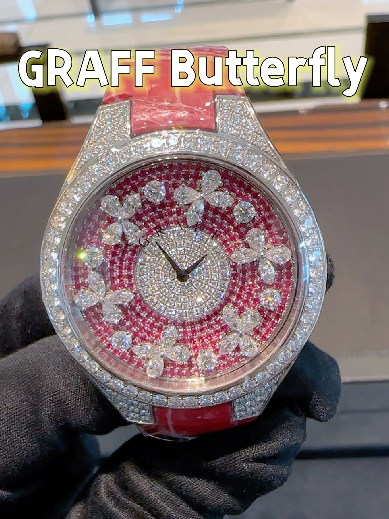 graff 蝴蝶腕錶