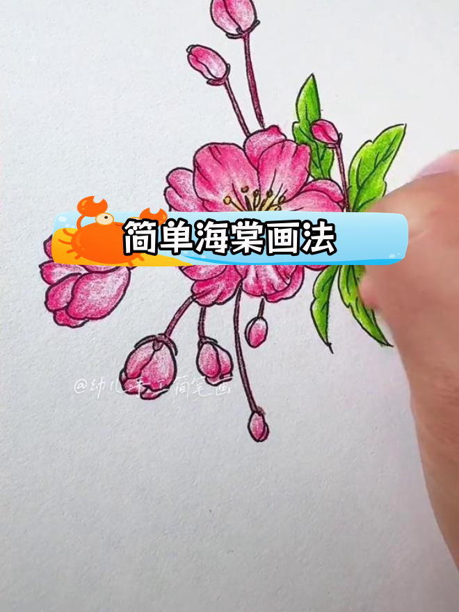 海棠花简笔画教程,轻松学会