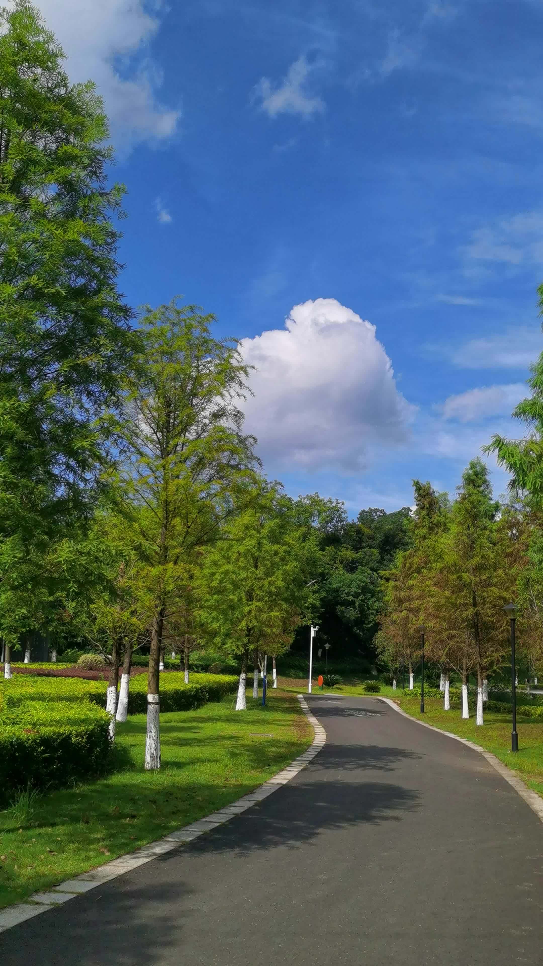 今天的天空特别美 感受大自然的气息和美景 蓝天白云晴空万里 夏天的