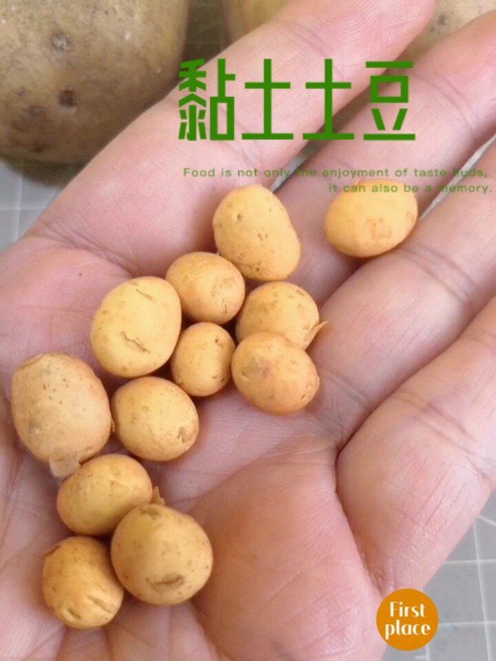 黏土土豆教程 粘土土豆手工彩泥微缩食玩