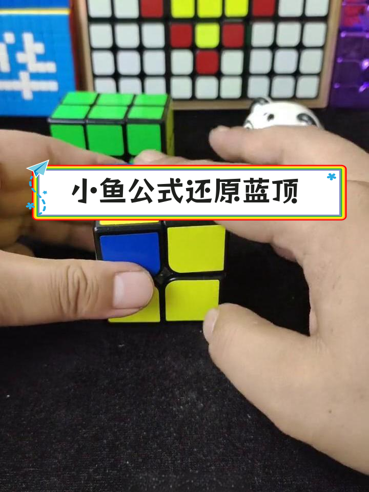 布丁魔方小鱼公式教程,轻松还原顶面蓝色