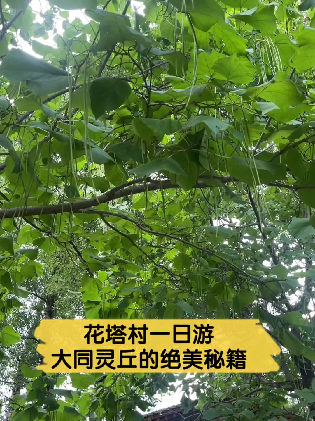 花塔村一日游,大同灵丘的绝美秘籍