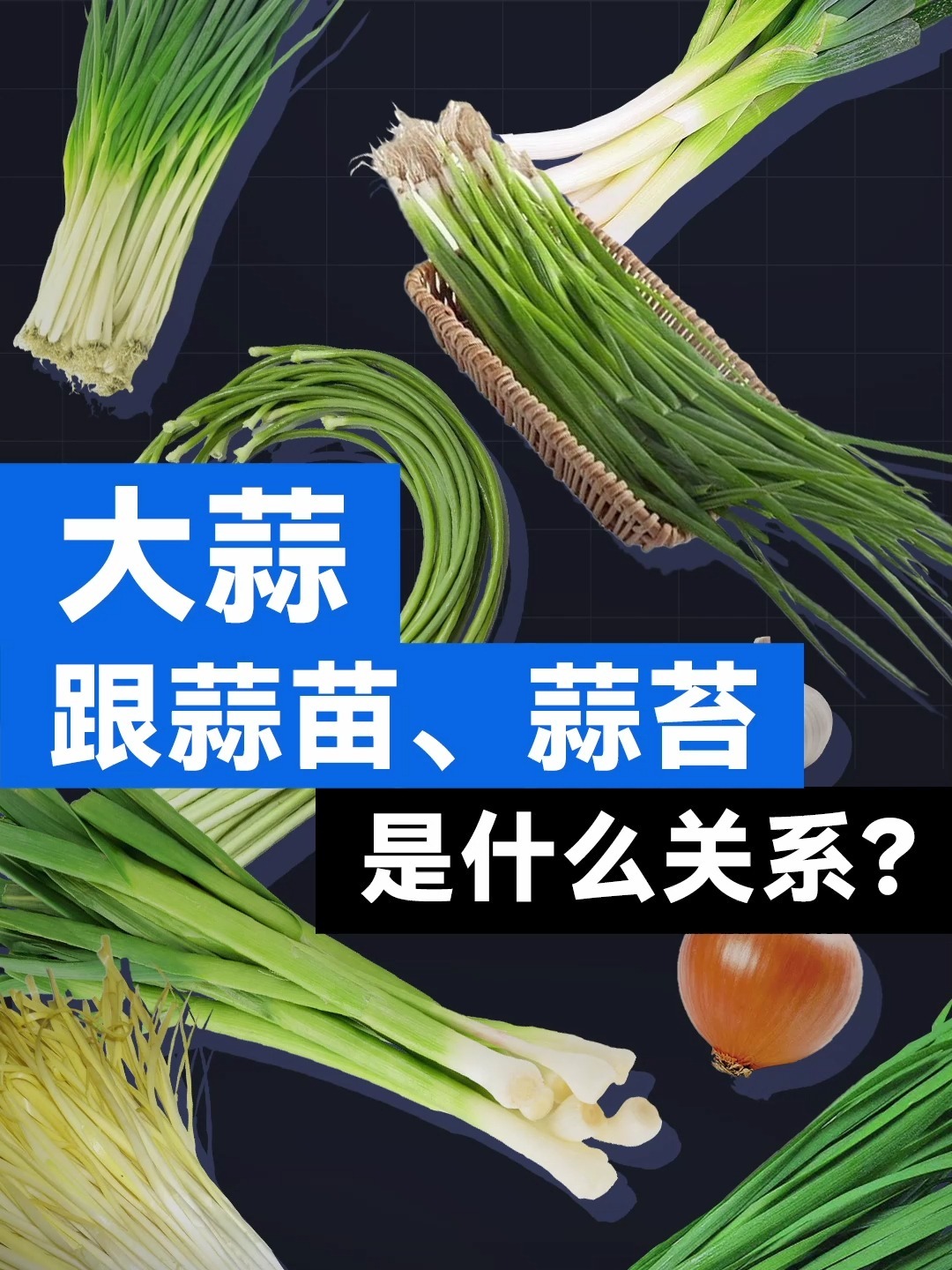 大蒜跟蒜苗,蒜薹是什么关系?
