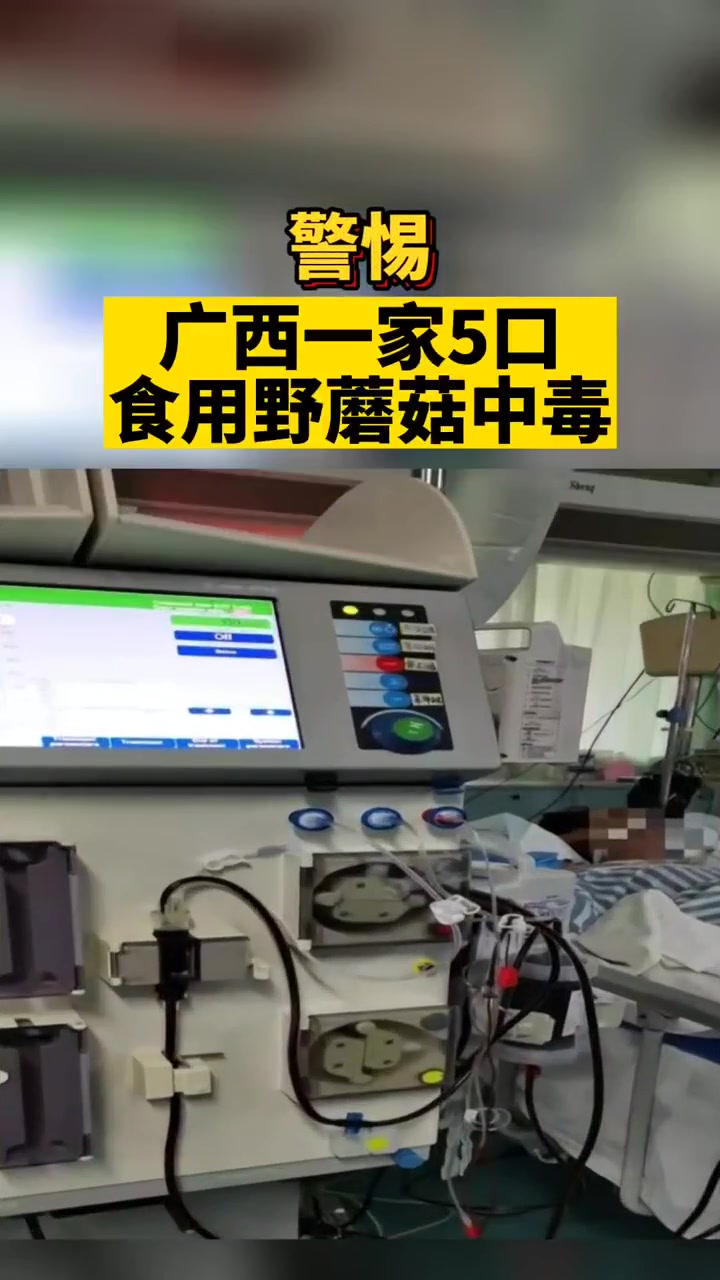 广西一家5口食用野蘑菇中毒!广西 野生菌 警惕