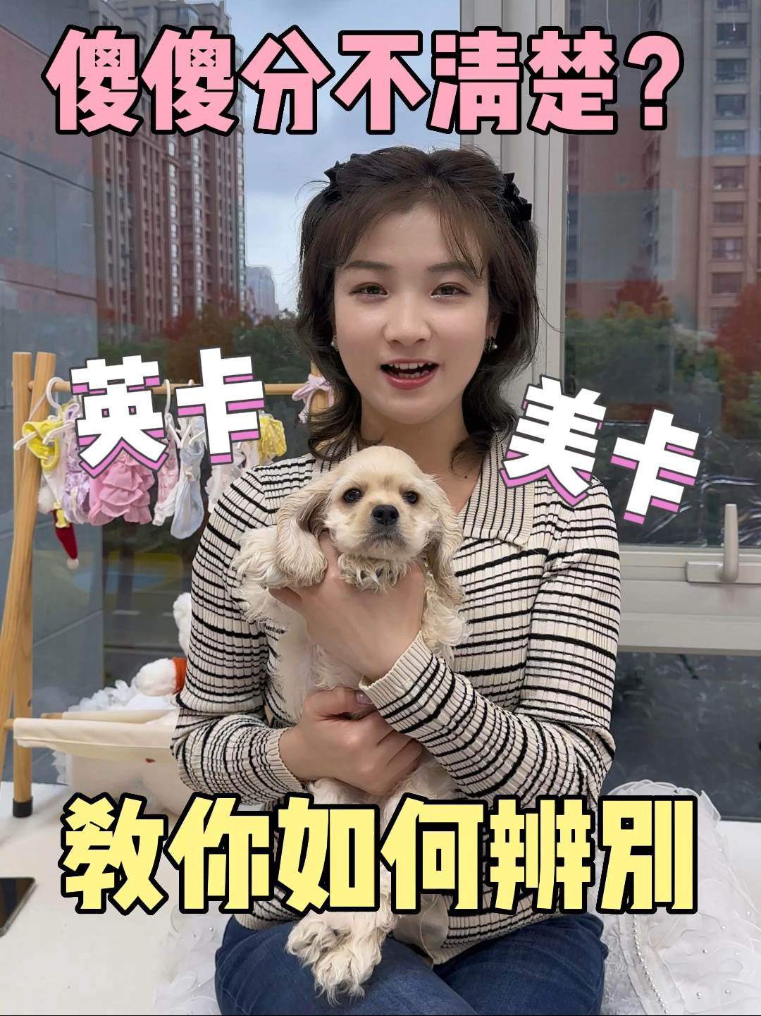 美卡|你知道如何区分美卡和英卡吗?