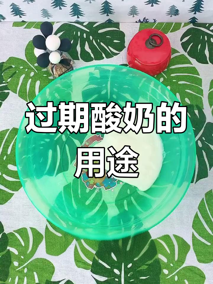 过期的酸奶有什么用途图片