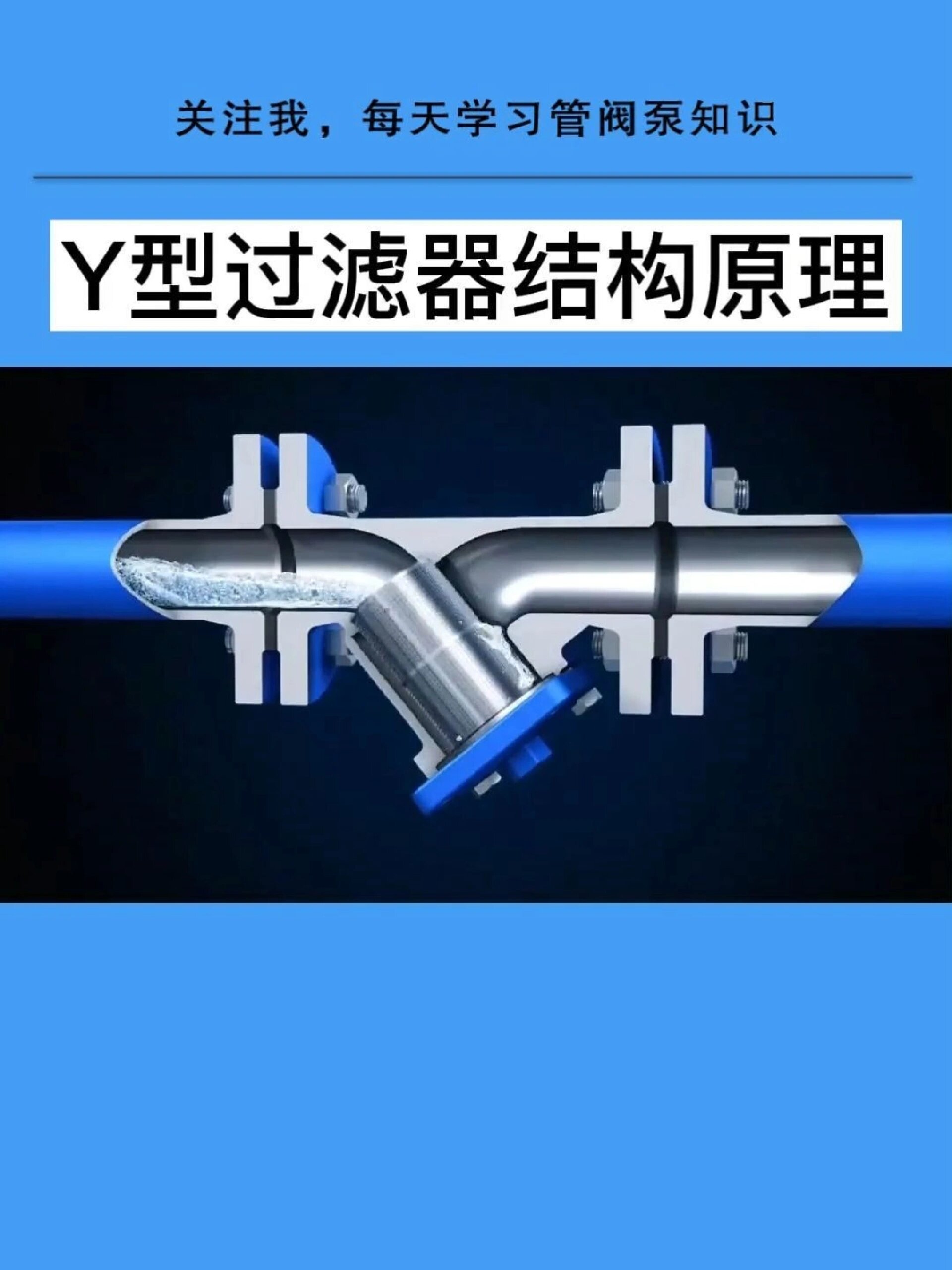 Y型过滤器内部图片